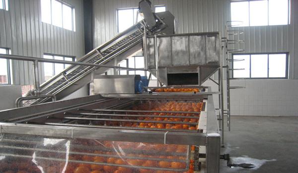 Citrus Fruits Processing